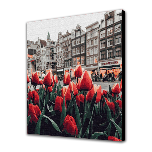 Tulipani Amsterdam Il set per dipingere con i numeri